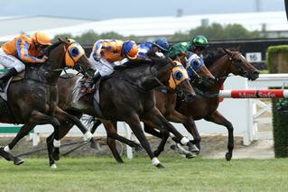 Royal Success claimed a first black-type win in Saturday’s $70,000 Group 3 J Swap Contractors Sprint. Photo: Trish Dunell
